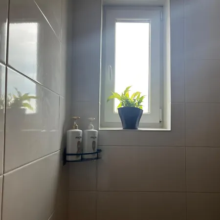 Apartment Monstera Ii - Economy