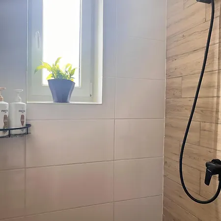 Monstera Ii - Economy Apartman
