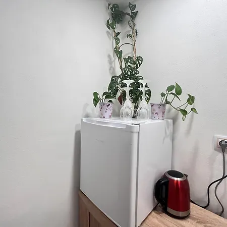 Apartman Monstera Ii - Economy *
