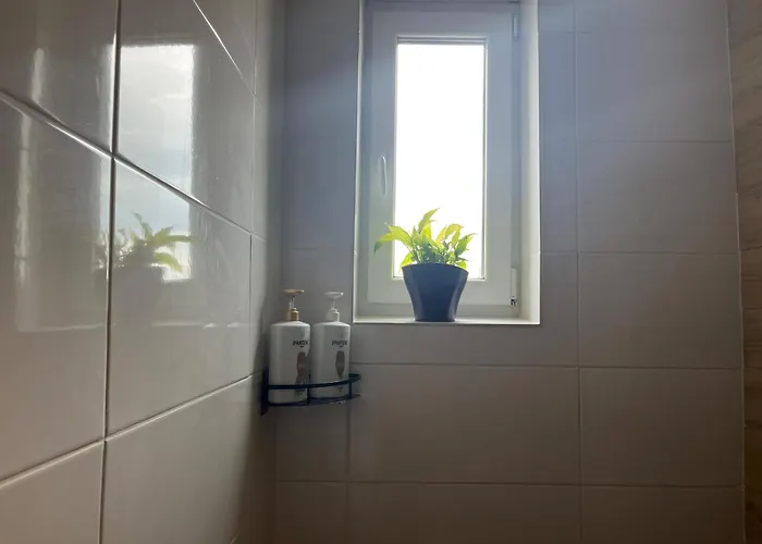 Appartement Monstera Ii - Economy