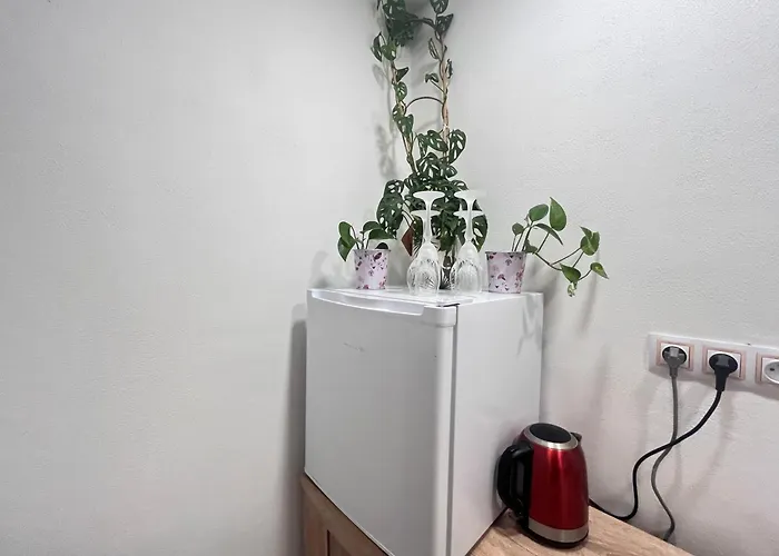 Appartement Monstera Ii - Economy *